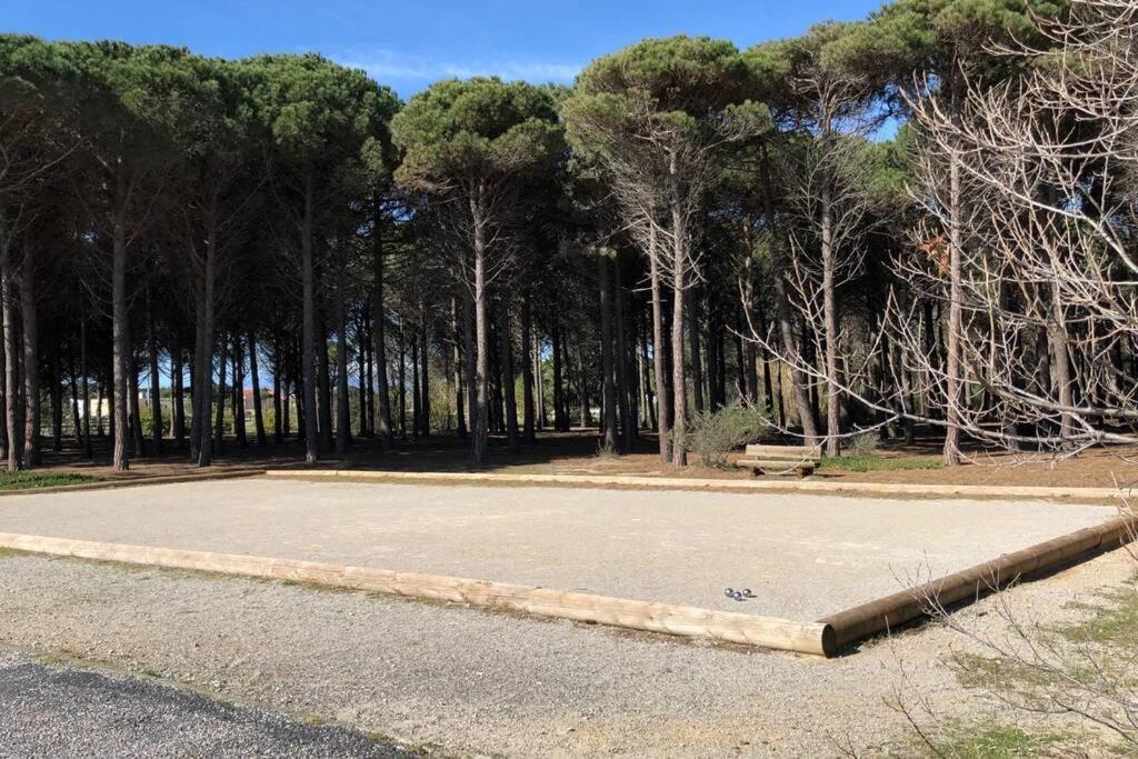 Barcaresa-Villa Sur Le Sable Vue Mer Panoramique Piscine Clim Wifi Le Barcarès Εξωτερικό φωτογραφία
